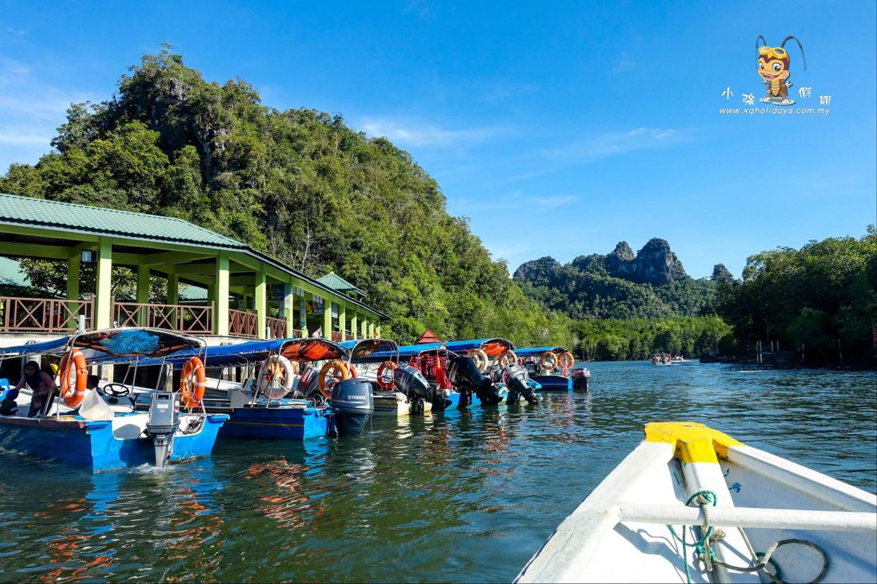 Jelajahi Ekosistem Mangrove Langkawi yang Menakjubkan dengan Tur Mangrove